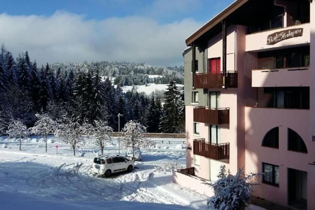 Appartement Montagne La Vallee Verte Coeur Station Hirmentaz Bellevaux Εξωτερικό φωτογραφία
